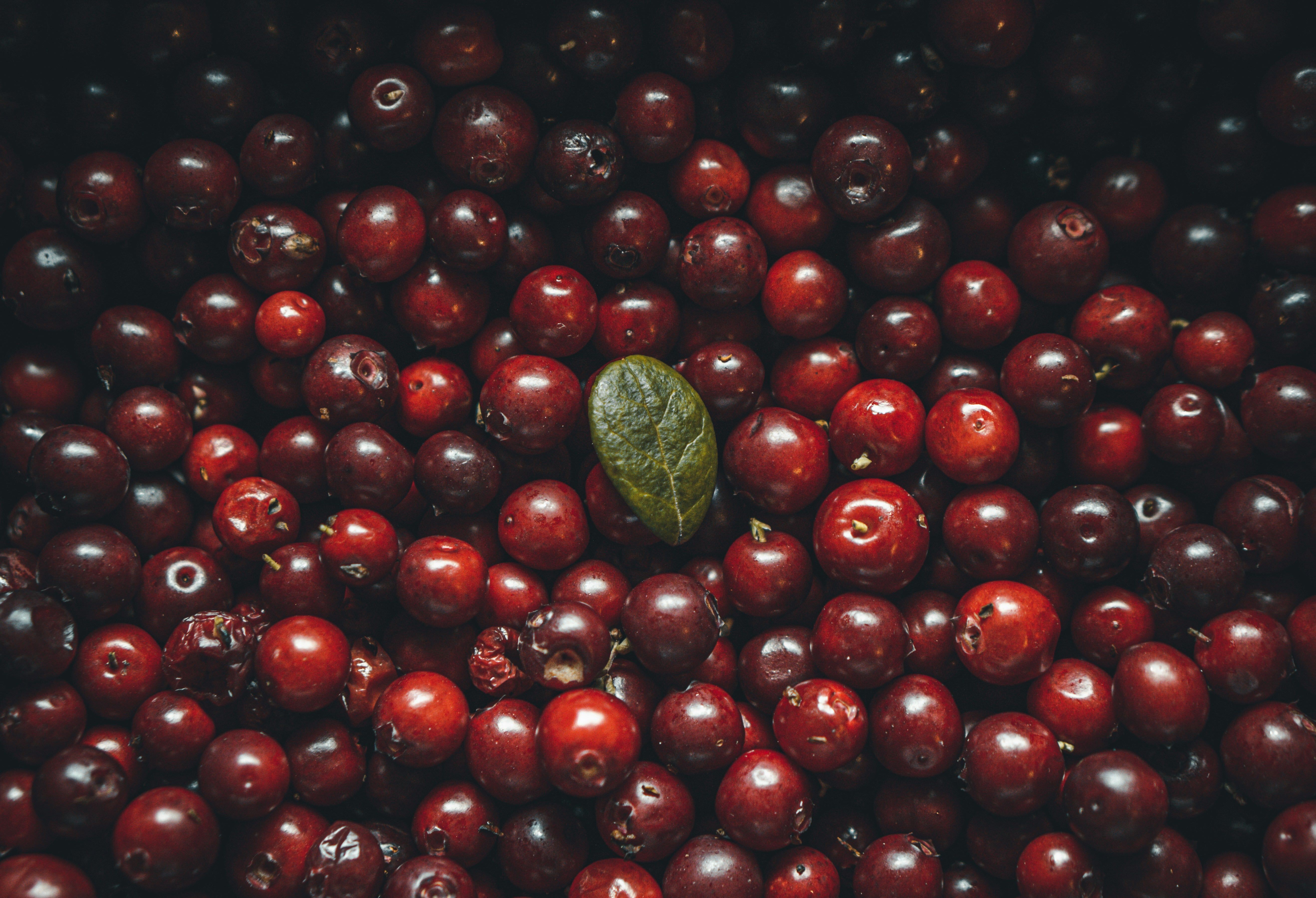 Cranberry Seed Oil: Antioxidant-Rich