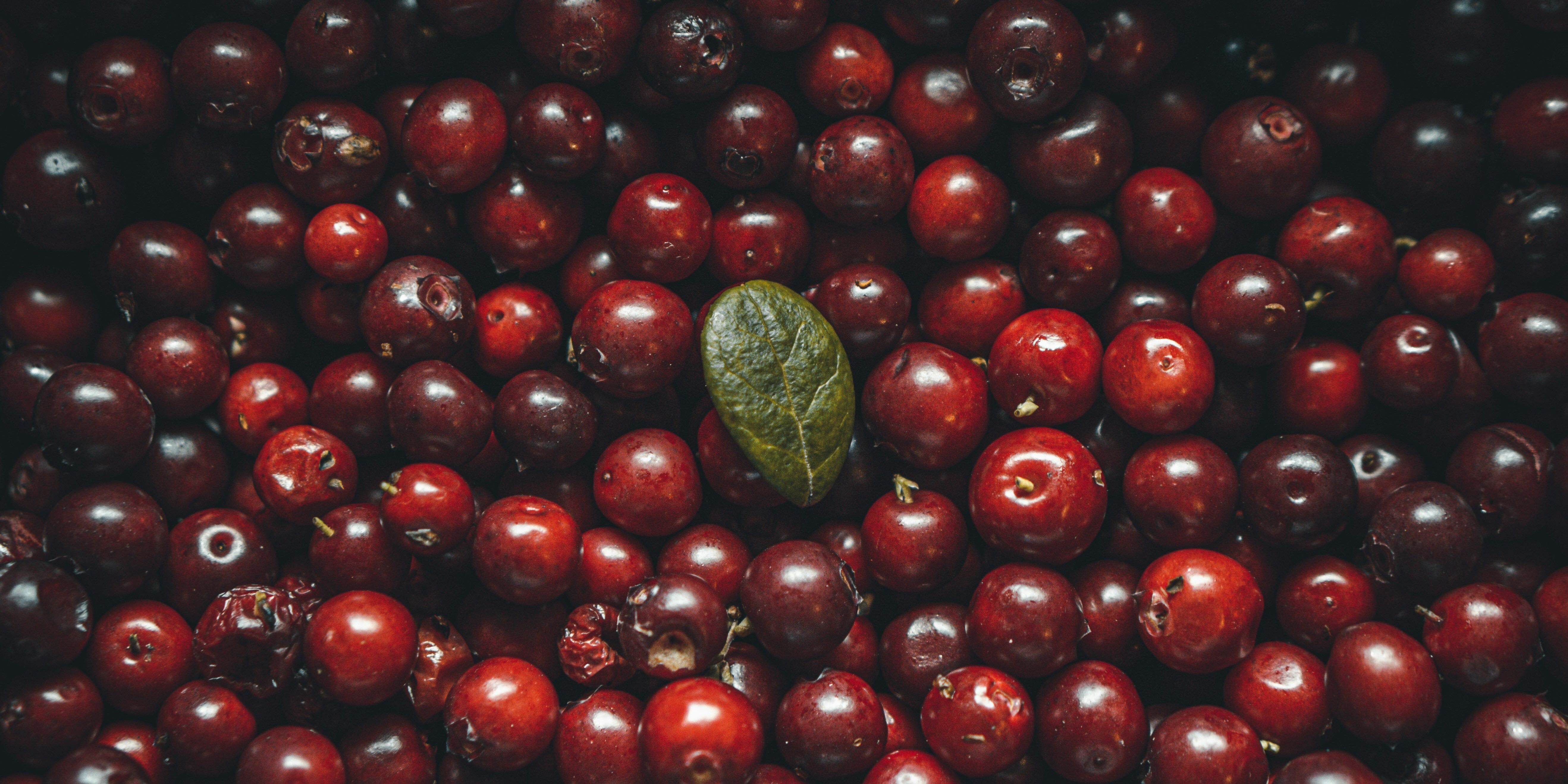 Cranberry Seed Oil: Antioxidant-Rich